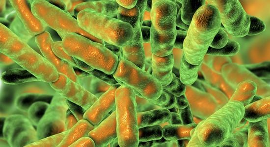 What are Probiotics?