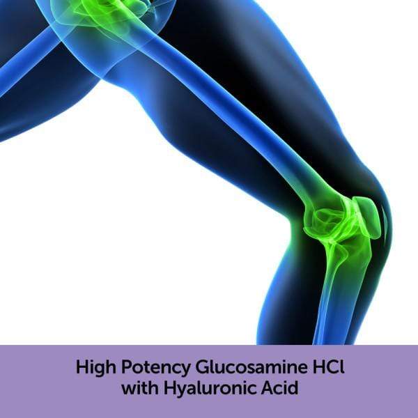Glucosamine promoting joint function