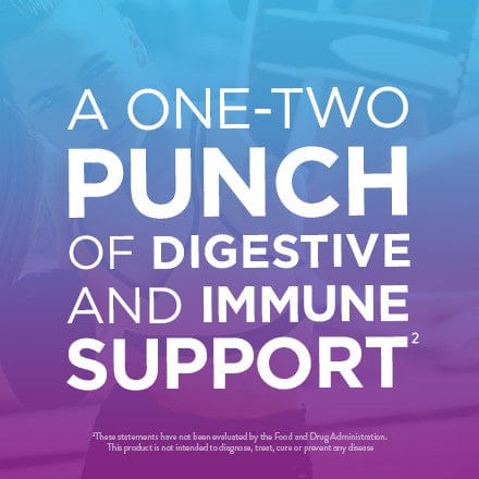 Digestive Advantage Prebiotic Fiber Plus Probiotic Tablets
