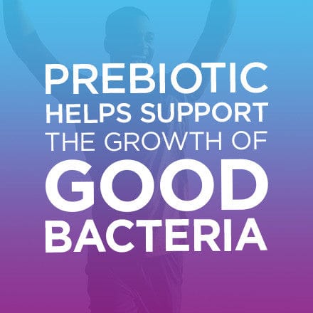 Digestive Advantage Prebiotic Fiber Plus Probiotic Tablets