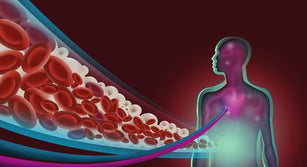 What Causes High Triglycerides?