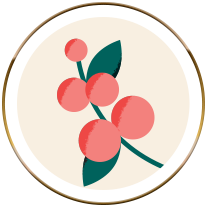 coffee cherry icon