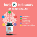 Neuriva Original, Brain Health Supplement with Coffee Cherry Extract & Phosphatidylserine