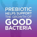 Digestive Advantage Prebiotic Fiber Plus Probiotic Gummies