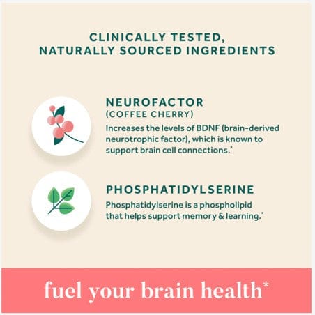 Neuriva Original, Brain Health Supplement with Coffee Cherry Extract & Phosphatidylserine