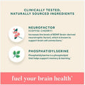 Neuriva Original, Brain Health Supplement with Coffee Cherry Extract & Phosphatidylserine